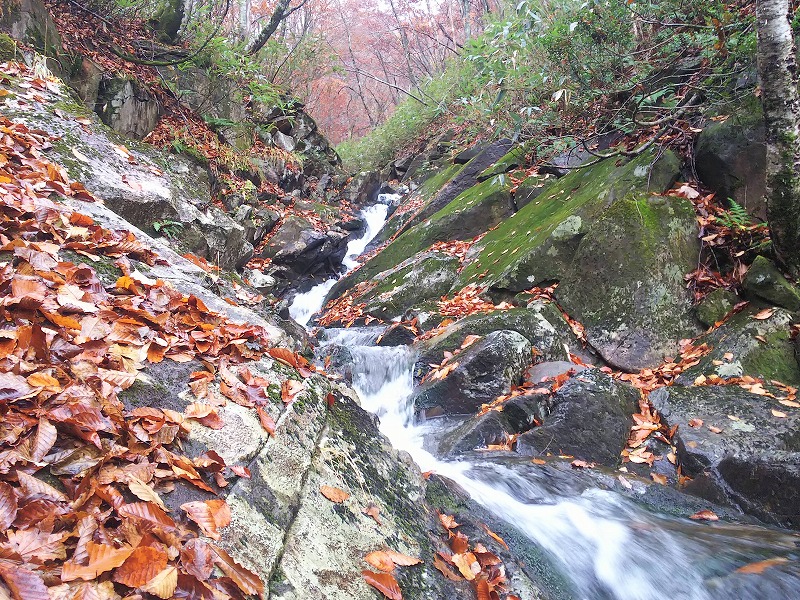 迷沢　4ｍ斜滝上のトイ状の水線